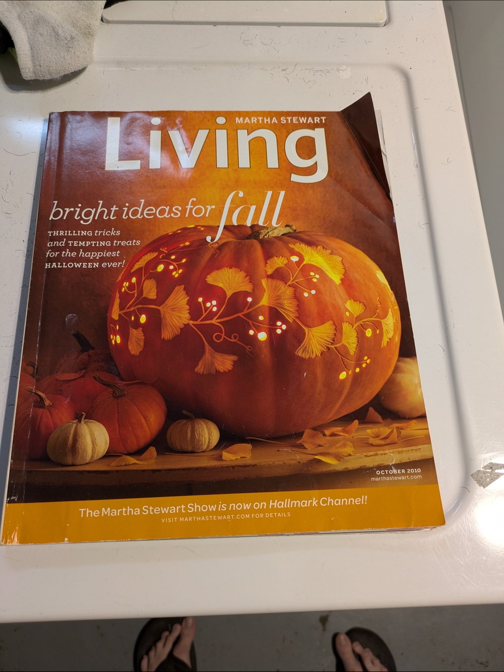 Martha Stewart Living Magazine - Bright Ideas for Fall (Pumpkin Cover)